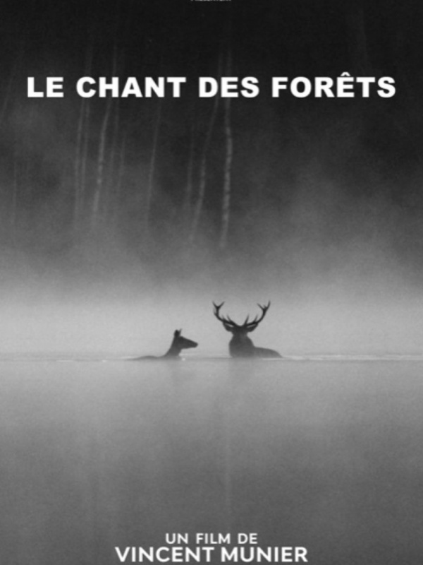 Le chant des forêts